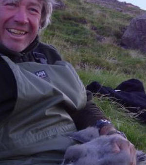 tim guilford