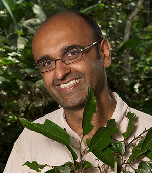 yadvinder malhi