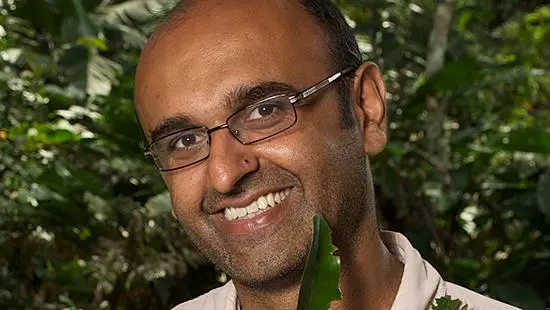 yadvinder malhi